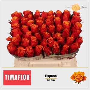 R GR ESPANA@