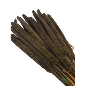 DRIED FLOWERS - BABALA BRUIN 30ST