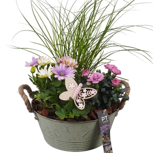 PTPP6825 Arrangement Patio in metalen bak