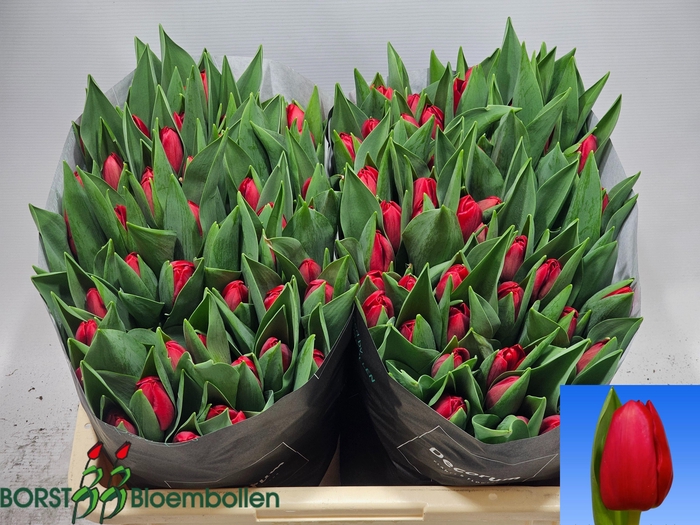 <h4>TU EN HEARTBREAKER</h4>