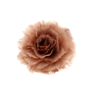 Feather Rose Clip H8D11