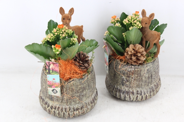 <h4>arr2 JS - Ker. herfst pot staand</h4>