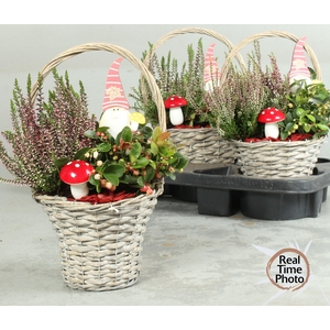 ARR TUINPLANTEN