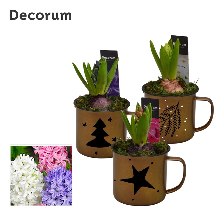 Hyacint Golden Mug HL15752 [SHINY & SPARKLING]