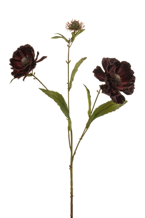 <h4>Aster spray burgundy 76cm</h4>
