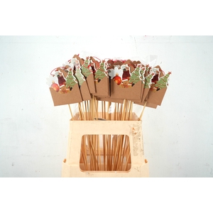 Pick Christmas Envelope 9,8x8cm+50cm stick 25pce/bag