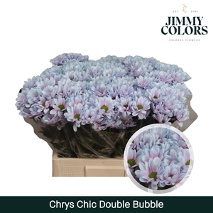 Chrys tros Chic Double bubble