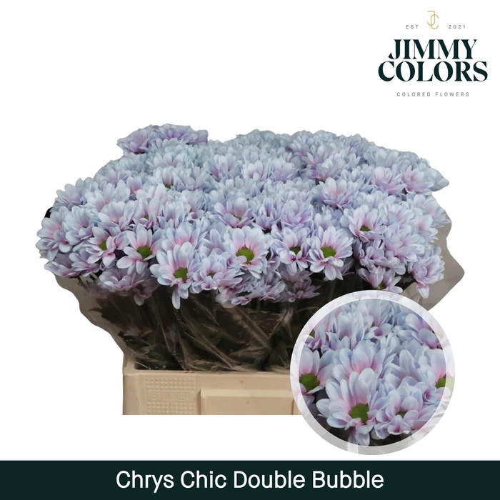 <h4>Chrys tros Chic Double bubble</h4>