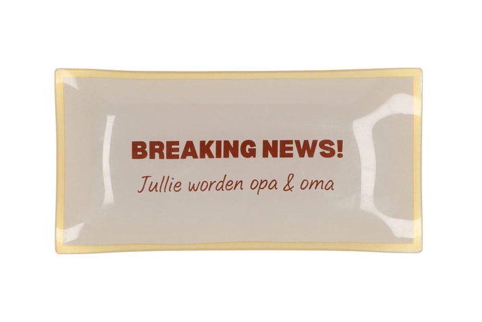 Plate Rectangle Breaking News! 20x10x2cm