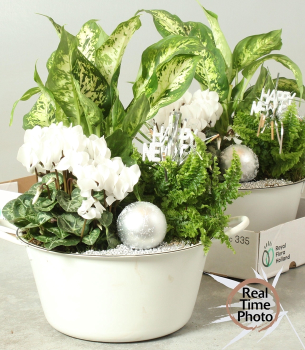 <h4>ARR KAMERPL</h4>