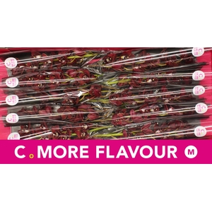 Mini cymbidium 'George Harrison' 60 cm