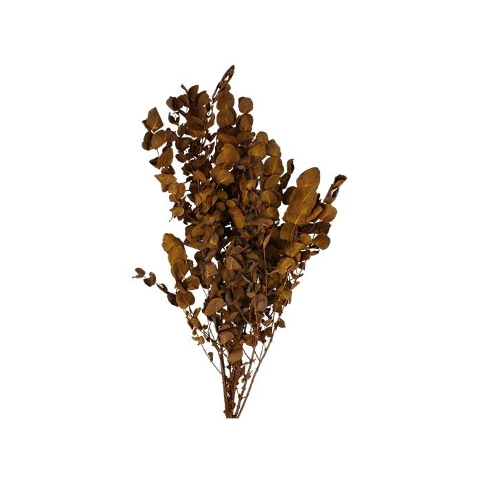 <h4>Bunch Eucalyptus 125gr Slv L70</h4>