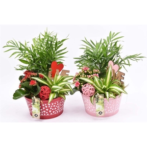 Zink schaal hart decor 16cm