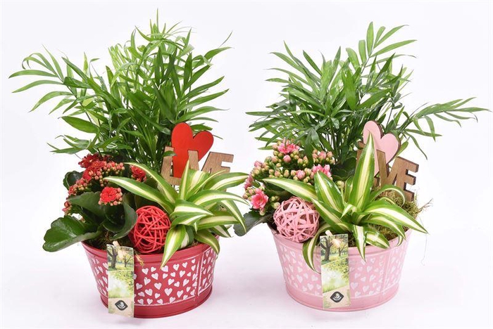 <h4>Zink schaal hart decor 16cm</h4>