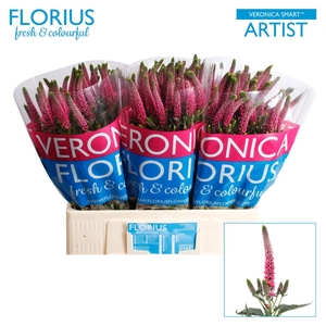 Veronica Smart Artist Florius