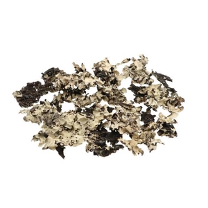 Blackmoss 250g
