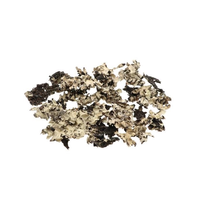 <h4>Blackmoss 250g</h4>