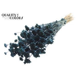Droogbloemen   ...bewerkt H%