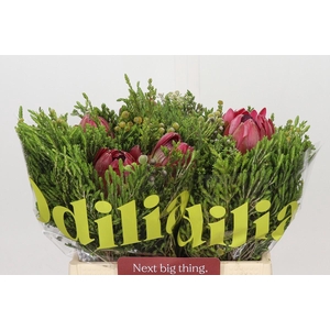 BQ Protea 3 Flowers