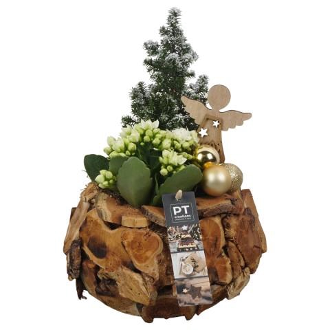 <h4>PTCHG5681 Arrangementen Kerst</h4>