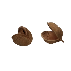 Dried articles Budha-nuts x5