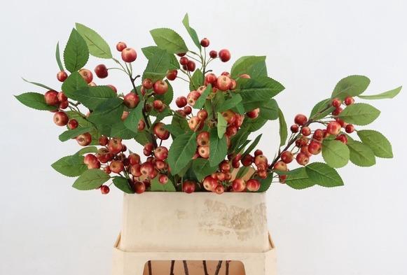<h4>AF Malus apple L90cm red</h4>