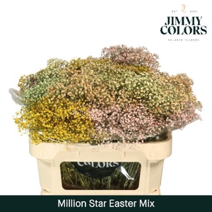 Gyps Million Star L70 Easter Mix