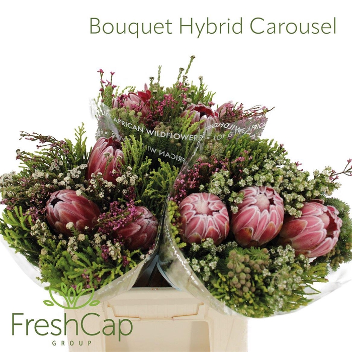 Bouquet Hybrid Carousel