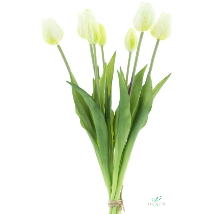 <h4>SILK FLOWERS - CLASSIC TULIP BUNDLE SALLY X7 CREAM 47CM</h4>