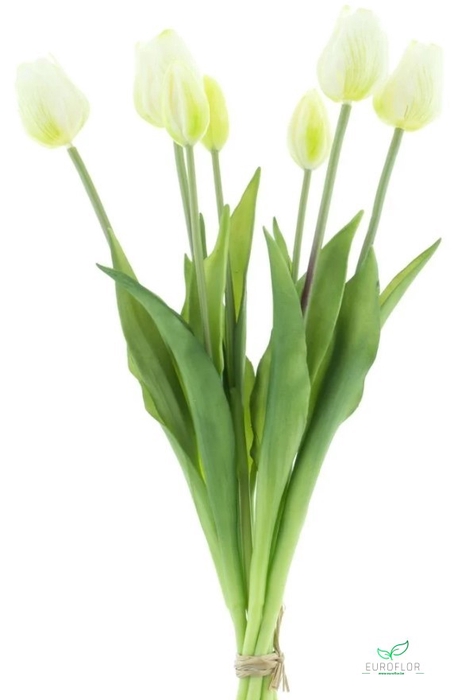 SILK FLOWERS - CLASSIC TULIP BUNDLE SALLY X7 CREAM 47CM