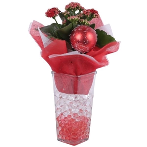 Christmas Arr. Indoor Glass Vase Square Ø09cm 1PP