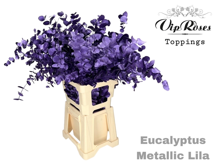 <h4>EUCA CINEREA METALLIC LILA 300GR</h4>
