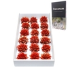 Echeveria Purpurea Sparkling Paint Red Cutflowers
