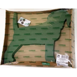 OASIS 11-83831 HOND 61X52
