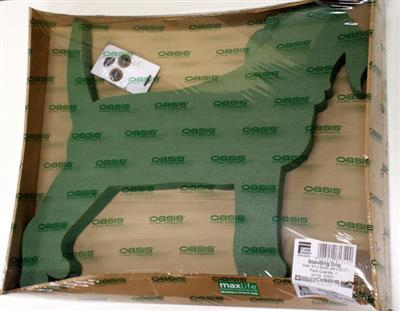 <h4>OASIS 11-83831 HOND 61X52</h4>