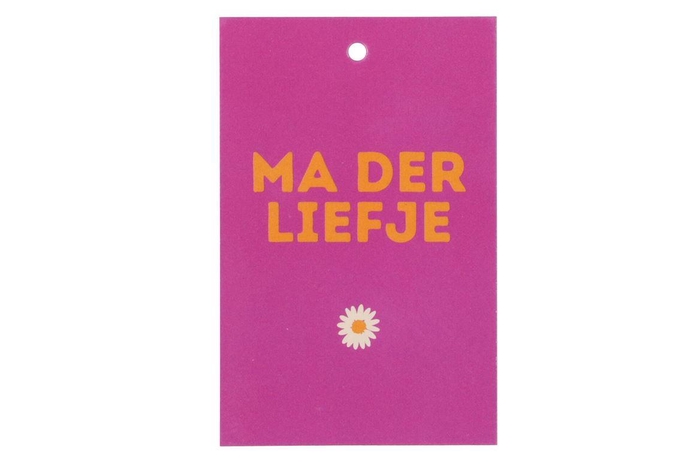 <h4>Gift Bouquet Card Ma Der Liefje Fuchsia 6x9cm P/25</h4>