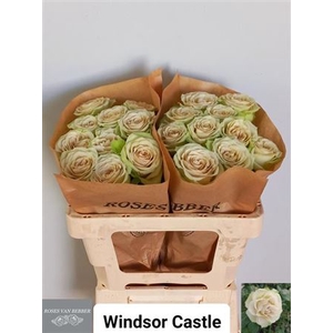 R Gr Windsor Castle B1