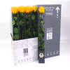 Rosa Preserved Stem 50cm Gracious Yellow