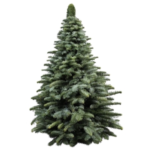 Kerstboom L10