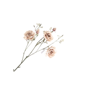 Rosa Spray Beige FL440211BGE