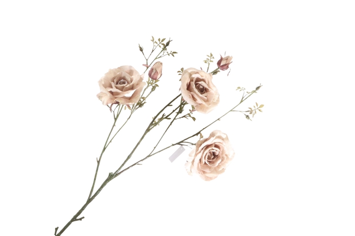 <h4>Rosa Spray Beige FL440211BGE</h4>