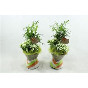 1524 GROENE DIABOLO X3