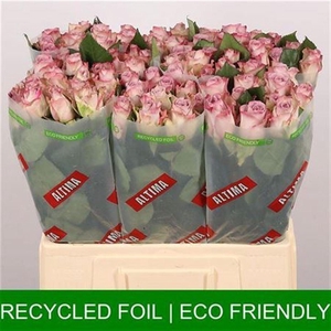 R Gr Memory Lane! Ex