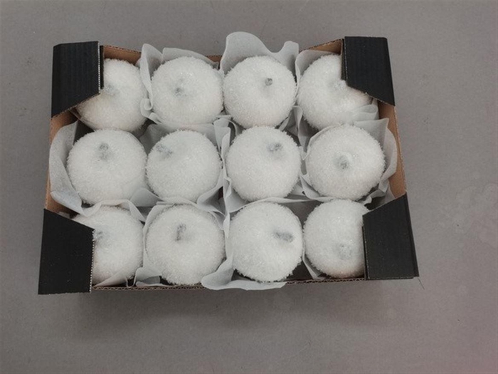 <h4>Deco Apple Karmijn Snow H5d6</h4>