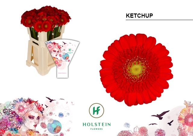 <h4>GE MI Ketchup emmer hoes x80</h4>