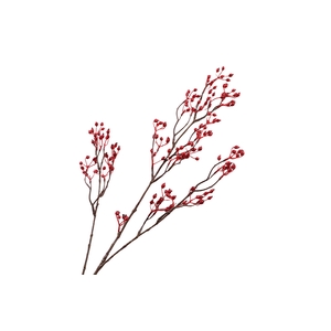 Rosehip Branch Corallo Red