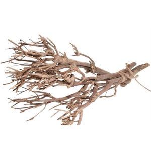 Deco Bundle Twig Naturel L30