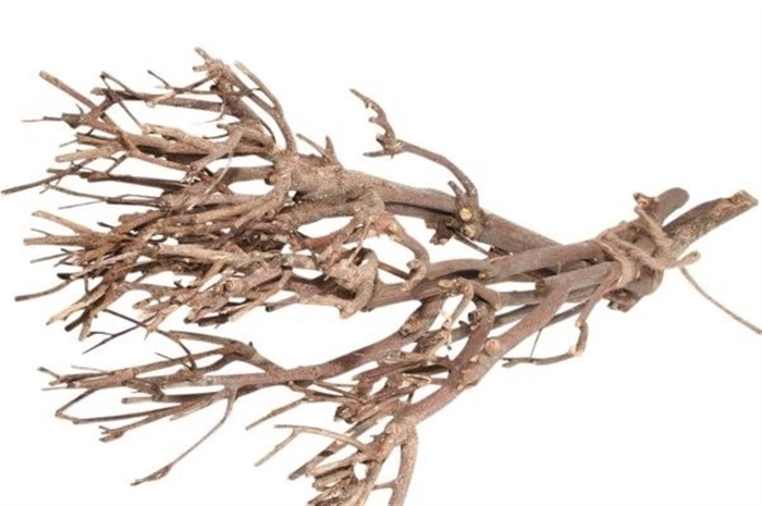 <h4>Deco Bundle Twig Naturel X1 L30</h4>