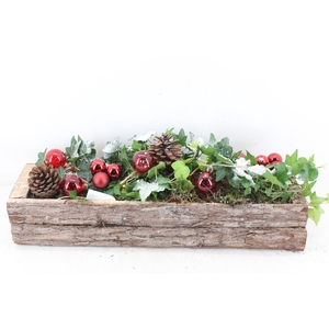 arr2 PL - Schors balk hedera rood LED