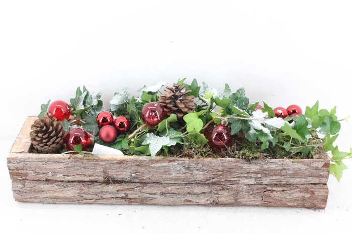 <h4>arr2 PL - Schors balk hedera rood LED</h4>